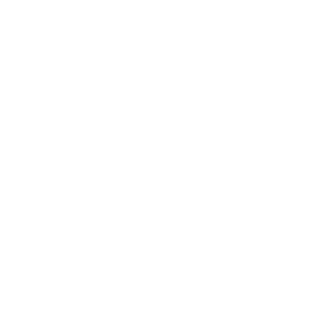 icon1