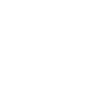 icon2
