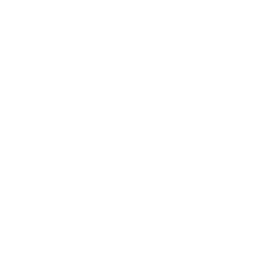 icon3