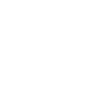 icon6